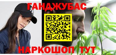 прущие крисы Сланцы