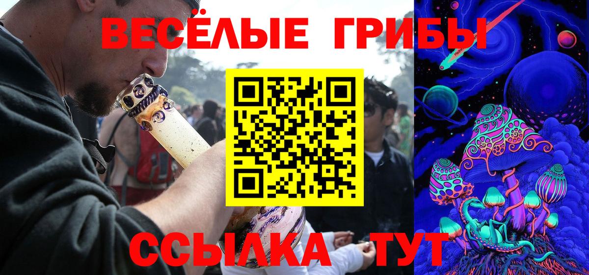 Галлюциногенные грибы Cubensis  где найти   Отрадное  Вход с VPN 